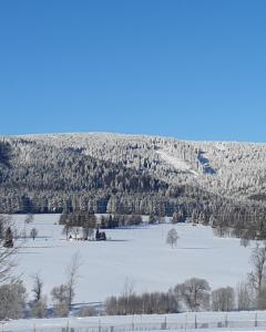 un campo cubierto de nieve con árboles y una montaña en Komfortowy dom z bali koło Zieleńca z widokiem na góry, en Lasowka