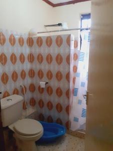 a bathroom with a toilet and a shower curtain at Accommodation in Vihiga Bnb in Koiparak