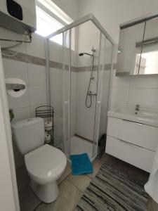 La salle de bains est pourvue de toilettes, d'une douche et d'un lavabo. dans l'établissement Traumlage direkt am See, à Balatonszemes