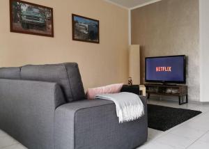 a living room with a gray couch and a tv at Welcome in Weilerbach in Weilerbach