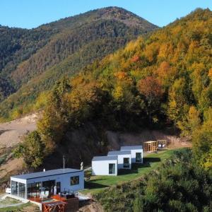 uma casa no topo de uma colina com árvores em Elysium Cabin em Muntele Rece