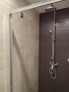 Bilik mandi di Bodzavirág Apartman