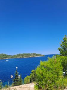 a view of a large body of water at Violet in Vis