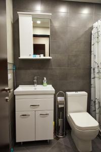 a bathroom with a white sink and a toilet at Residence North Avenue, Teryan 8 , apt14 3 in Yerevan