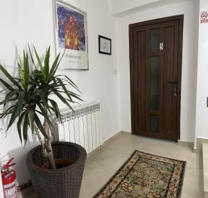 a hallway with a potted plant next to a door at Gemasoti House in Drobeta-Turnu Severin