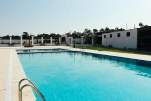 Galería fotográfica de Bodega el Huarango en Ica 55 fotos más