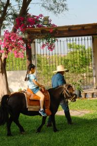 Galería fotográfica de Bodega el Huarango en Ica