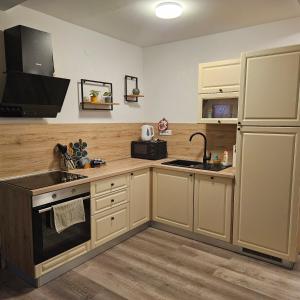 a kitchen with a sink and a refrigerator at Apartman Stefany in Varaždin
