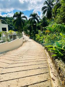 a road leading to a resort with palm trees at Cozy Studio in Private Villa in Las Terrenas