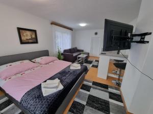 1 dormitorio con 1 cama y TV de pantalla plana en Pension DonauBlick Grein 2 in Stifterstrasse 19A, en Grein