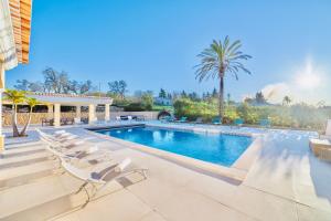 een zwembad met ligstoelen en een palmboom bij Casa Ferrel - Luxury 9 Bedroom Villa with Indoor & Outdoor Pools in Lagos