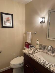 a bathroom with a white toilet and a sink at Gorgeous Williamsville Home in Central Location in Buffalo