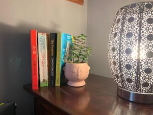 a table with books and a lamp and a potted plant at Relax Inn Guest House in Brighton & Hove