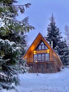 una cabaña de madera en el bosque en la nieve en Oryavchik Country House, en Oryavchyk