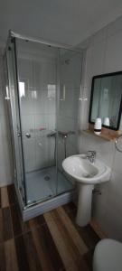 y baño con ducha acristalada y lavamanos. en Apartamento Vista al Estrecho en Punta Arenas