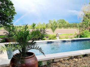 a potted plant sitting next to a swimming pool at Le Mas du Castellas 5* in Le Thor