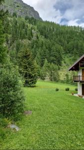 a green field with a house and a mountain at Lys Apartment in Gressoney-la-Trinité