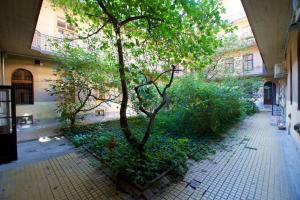 un árbol en un patio junto a un edificio en St. King 11 Apartments, en Budapest