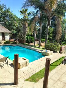 魯德普特的住宿－49 on Bristow，庭院内棕榈树游泳池