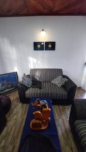 Posezení v ubytování B&B Nuwara eliya