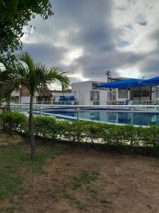 una piscina con una palmera frente a un edificio en Paulo Afonso BA Capitalbda Energia e do turismo, en Paulo Afonso