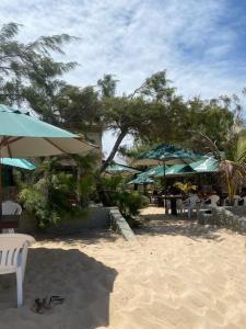 a beach with chairs and umbrellas on the sand at Paz, arte, beleza e natureza na praia de Sagi in Baía Formosa