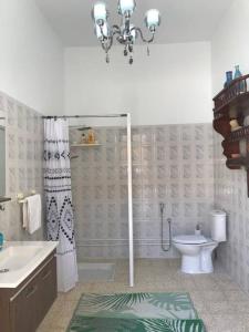 a bathroom with a shower and a toilet and a sink at Dar Medina Tozeur in Tozeur