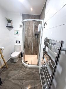 a bathroom with a shower and a toilet at 12a Mault-Ley Studio in St Ives