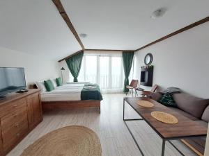 Premium Apartment in Borovets Gardens Complex في بوروفتس: غرفة نوم بسرير واريكة وتلفزيون