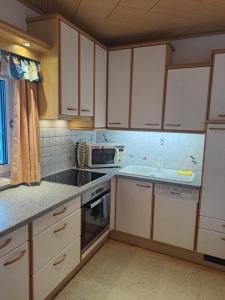 Kuchyň nebo kuchyňský kout v ubytování Ferienhaus Berger