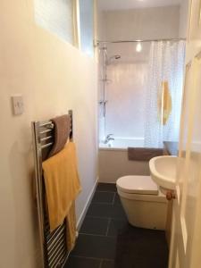 a bathroom with a toilet and a sink and a shower at Stylish one bed flat with private parking in Aberdeen