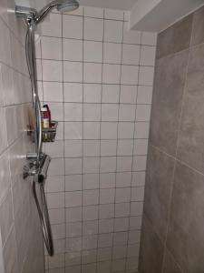 La salle de bains est pourvue d'une douche et d'un mur carrelé. dans l'établissement Logeren bij Sabine en JW, à Beekbergen