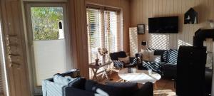 苏索Seemöwe 1的客厅里有沙发和电视