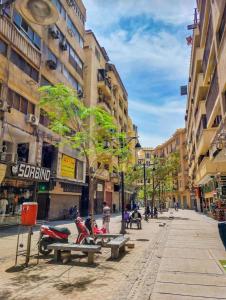 une rue de la ville avec des bancs, des arbres et des bâtiments dans l'établissement City inn Cairo hostel Caca, au Caire