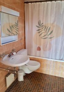 La salle de bains est pourvue d'un lavabo, de toilettes et d'un rideau de douche. dans l'établissement Roc d'Orsay D36, à Leysin