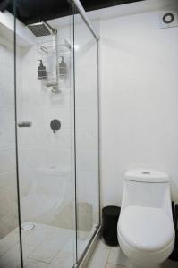 uma casa de banho com um WC e uma cabina de duche em vidro. em Roma Apartment with Private Terrace in CDMX em Cidade do México