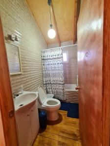 a small bathroom with a toilet and a sink at Cabañas Villa Elfo in Futrono