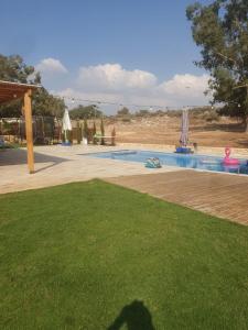 una sombra de una persona parada frente a una piscina en זריחה למרגלות הגלבוע, en Nurit