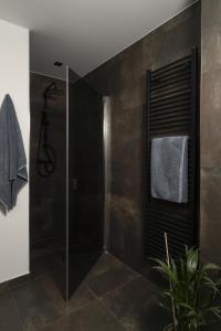 ein Bad mit einer Dusche und einer Glastür in der Unterkunft Big Schenkvalley in Erfurt