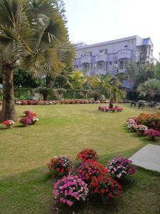 Zahrada ubytování HOTEL MTM