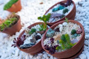 A garden outside DevIn Coworking & Coliving