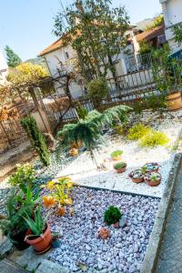 A garden outside DevIn Coworking & Coliving