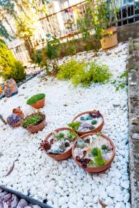 A garden outside DevIn Coworking & Coliving