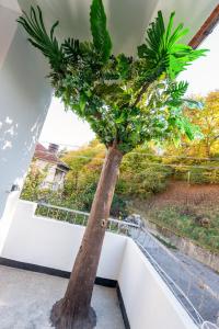 A garden outside DevIn Coworking & Coliving