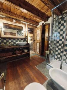 a bathroom with a sink and a glass shower at B&B Lo Djoua de Toueno in Arvier