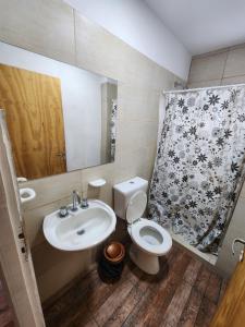 y baño con lavabo, aseo y ducha. en Thiago apart Monoambiente en General Pico