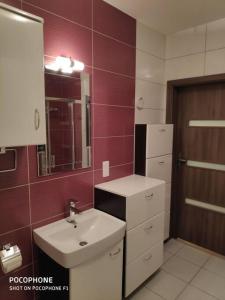 een badkamer met een wastafel en een spiegel bij Apartament Podmiejska in Jastrzębie Zdrój