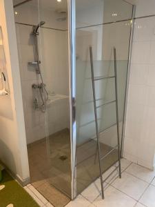 Koupelna v ubytování Appartement supérieur sur l 'étang climatisation parking