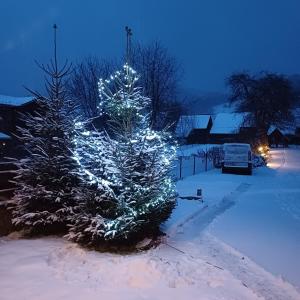 克洛斯常葛的住宿－Willa Trzy Podkowy，院子里装饰着灯的圣诞树