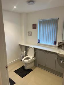 a bathroom with a toilet and a sink at Beldorny in Kingston
